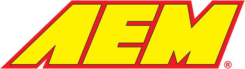 AEM 02-07 Dodge Ram 3.7L (V6)/4.7L-5.9L (V8) Dryflow Panel Air Filter - Eastern Shore Retros