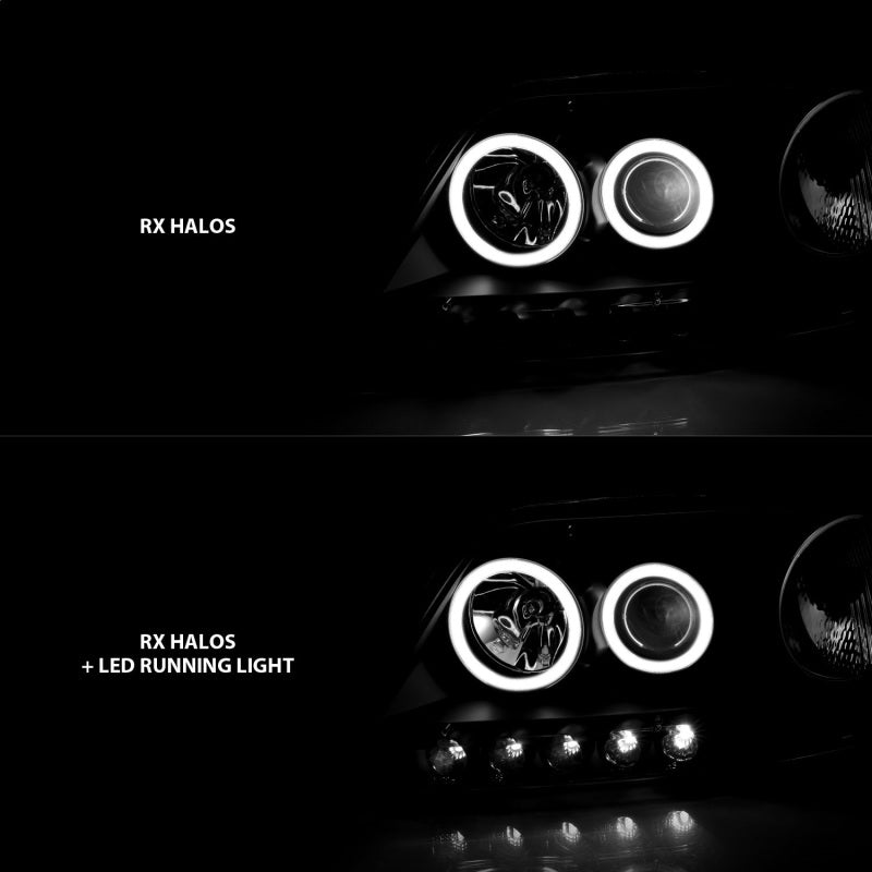 ANZO 1997-2003 Ford F-150 Projector Headlights w/ Halo Black (CCFL) - Eastern Shore Retros